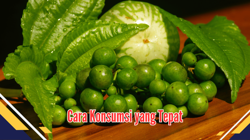 Cara Konsumsi yang Tepat