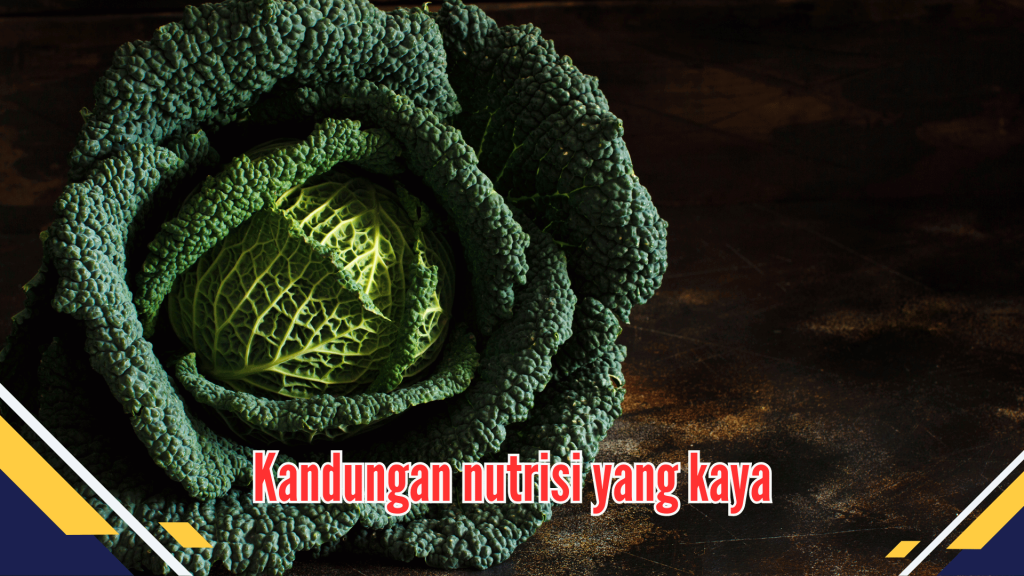 Kandungan nutrisi yang kaya