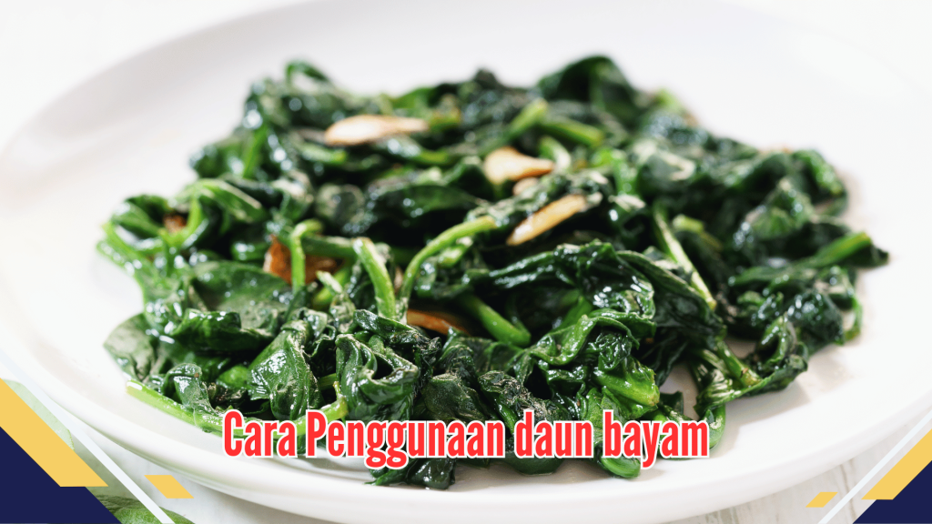 Cara Penggunaan daun bayam