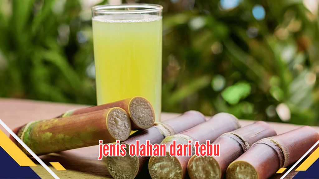 Jenis olahan dari tebu