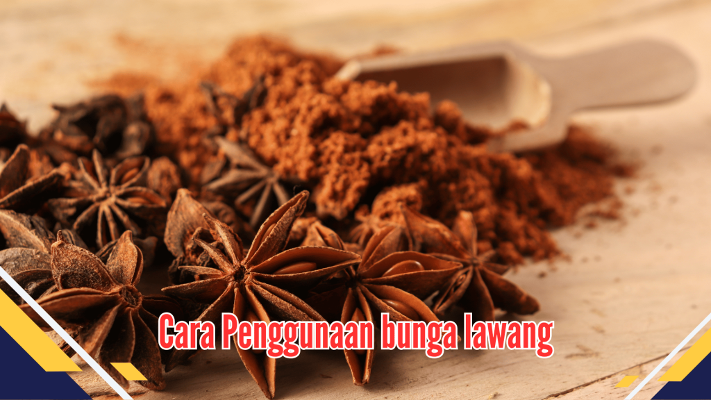  Cara Penggunaan bunga lawang