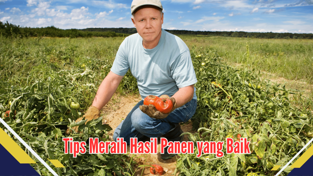 Tips Meraih Hasil Panen yang Baik