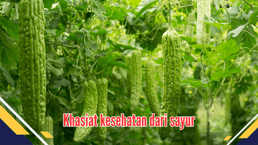 Khasiat kesehatan dari sayur