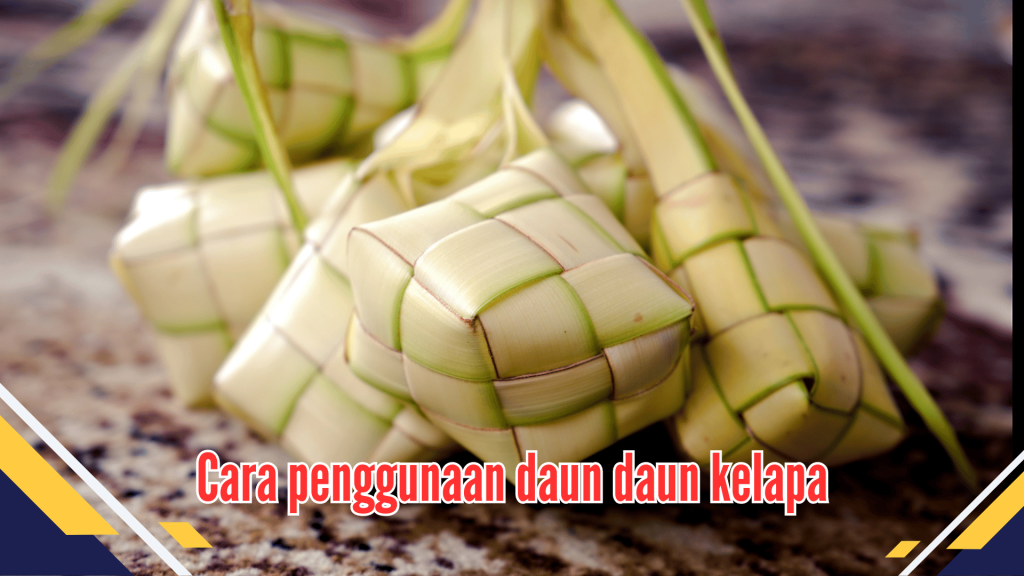 Cara Penggunaan Daun Kelapa