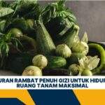 7 Jenis Sayuran Rambat Penuh Gizi untuk Hidup Sehat dan Ruang Tanam Maksimal