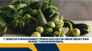 7 Jenis Sayuran Rambat Penuh Gizi untuk Hidup Sehat dan Ruang Tanam Maksimal