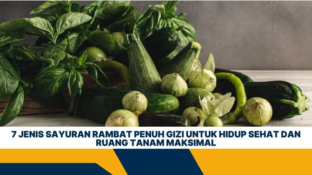 7 Jenis Sayuran Rambat Penuh Gizi untuk Hidup Sehat dan Ruang Tanam Maksimal