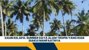 Daun Kelapa: Sumber Daya Alam Tropis yang Kian Diakui Manfaatnya